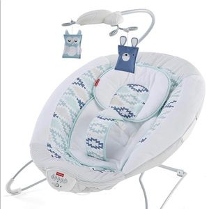 Fisher Price Woodsy Wonders Deluxe Bouncer